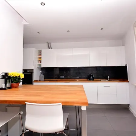 165m2, 500m Od Starowki Apartmán